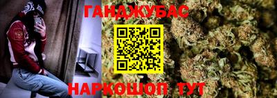 СК Дубна