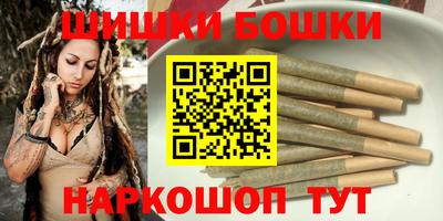 СК Дубна